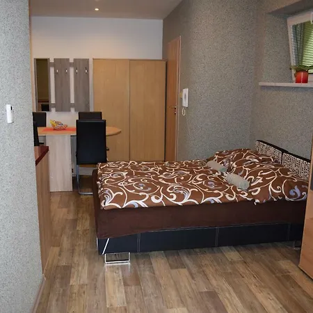 U Zamku Apartamento