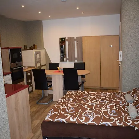 Apartment U Zamku